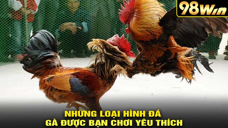 Những loại hình đá gà được bạn chơi yêu thích